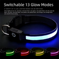 LED Pet Collar