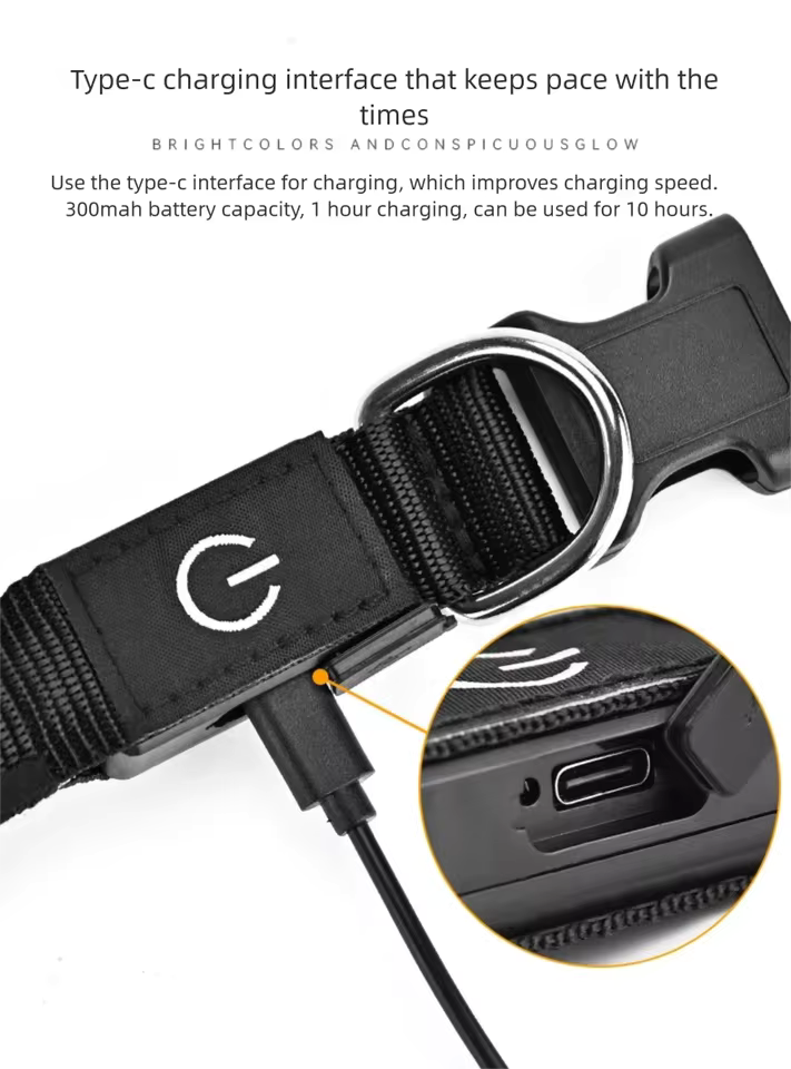 LED Pet Collar